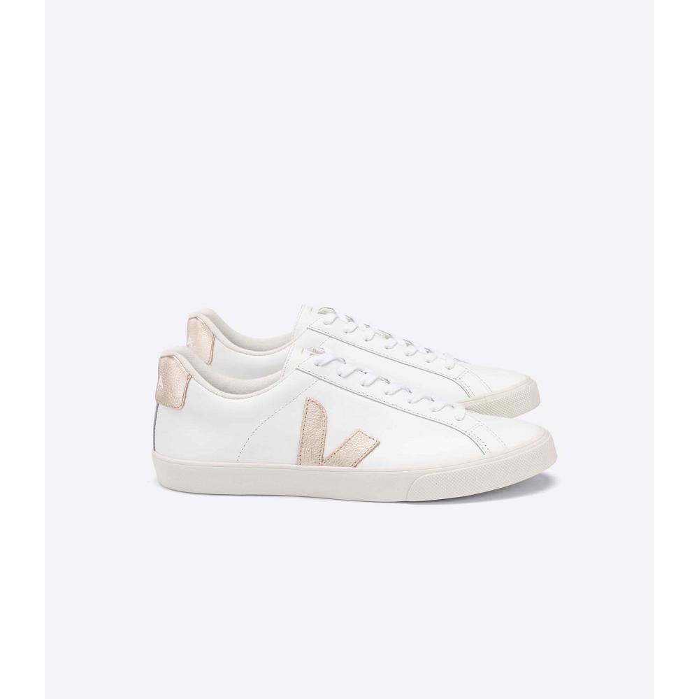 Veja ESPLAR LEATHER Women\'s Sneakers White/Brown | CA 606TCE